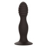 Calexotics - Stud Anal Côtelé